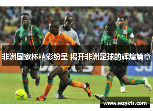 非洲国家杯精彩纷呈 揭开非洲足球的辉煌篇章